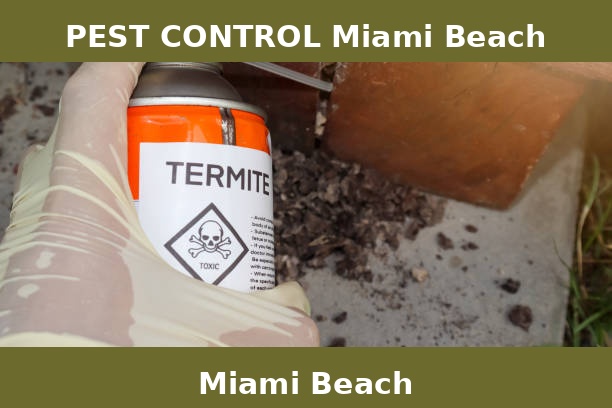 PEST CONTROL Miami Beach
